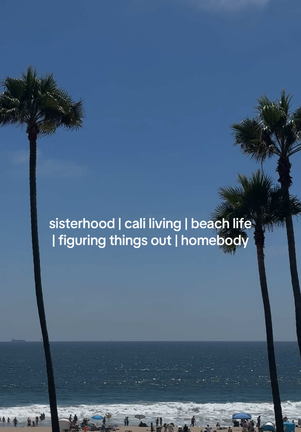 @Palomina 🪽
