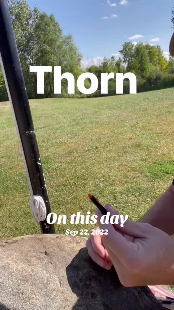 @BowHunterPlanet