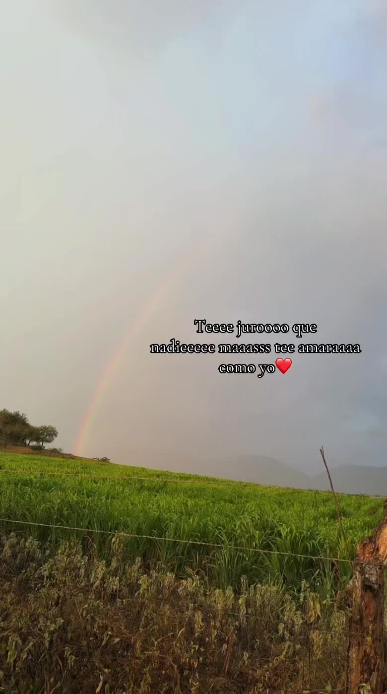 @Sofii๐ค
