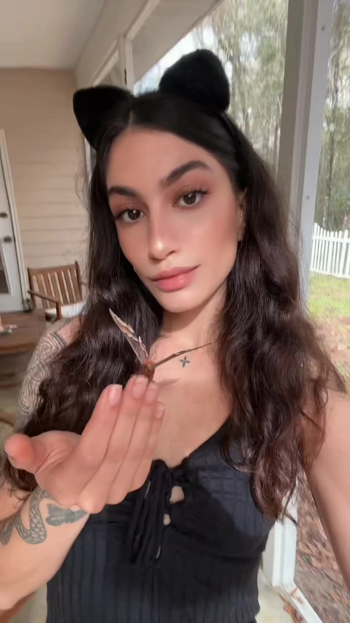 @lexi