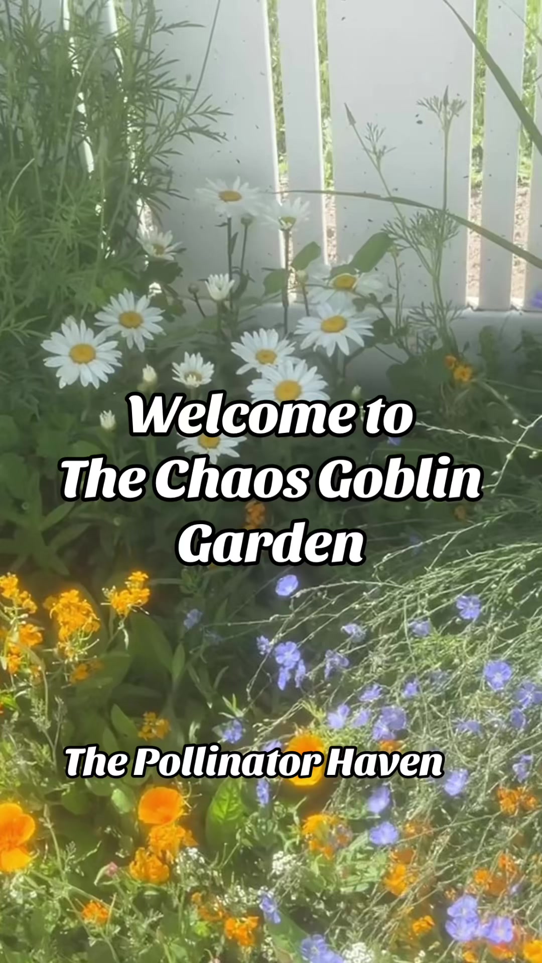 @chaosgoblingarden
