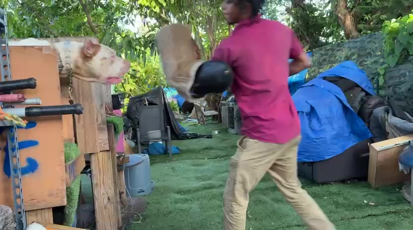 @Lewis K9 Institute Elite