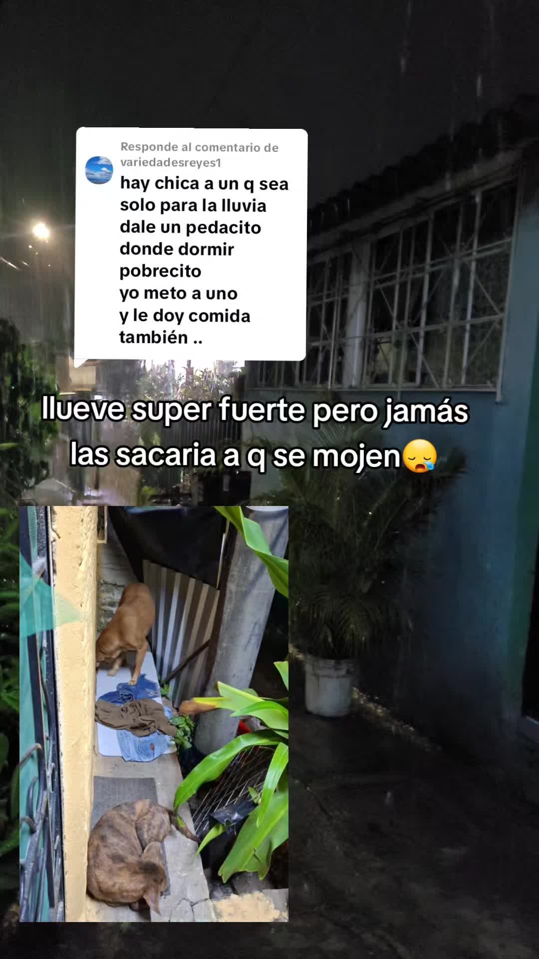 @𝕃𝕚𝕤𝕤 ℝ𝕖yes🇸🇻