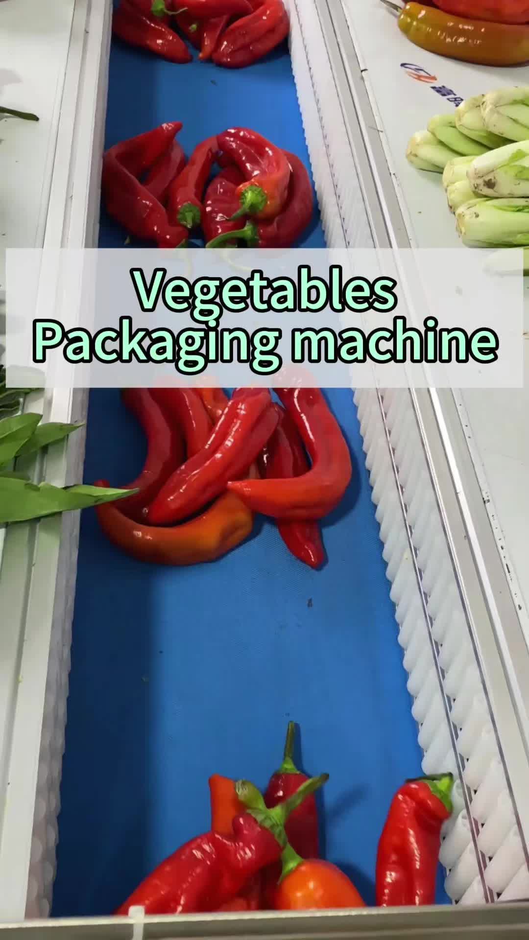 @vegetable.packaging
