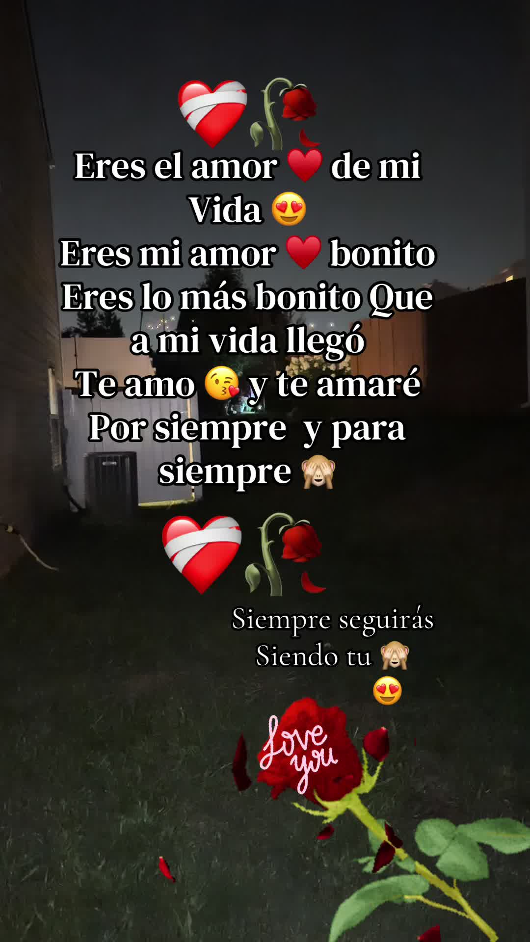 @Blanca Ayala