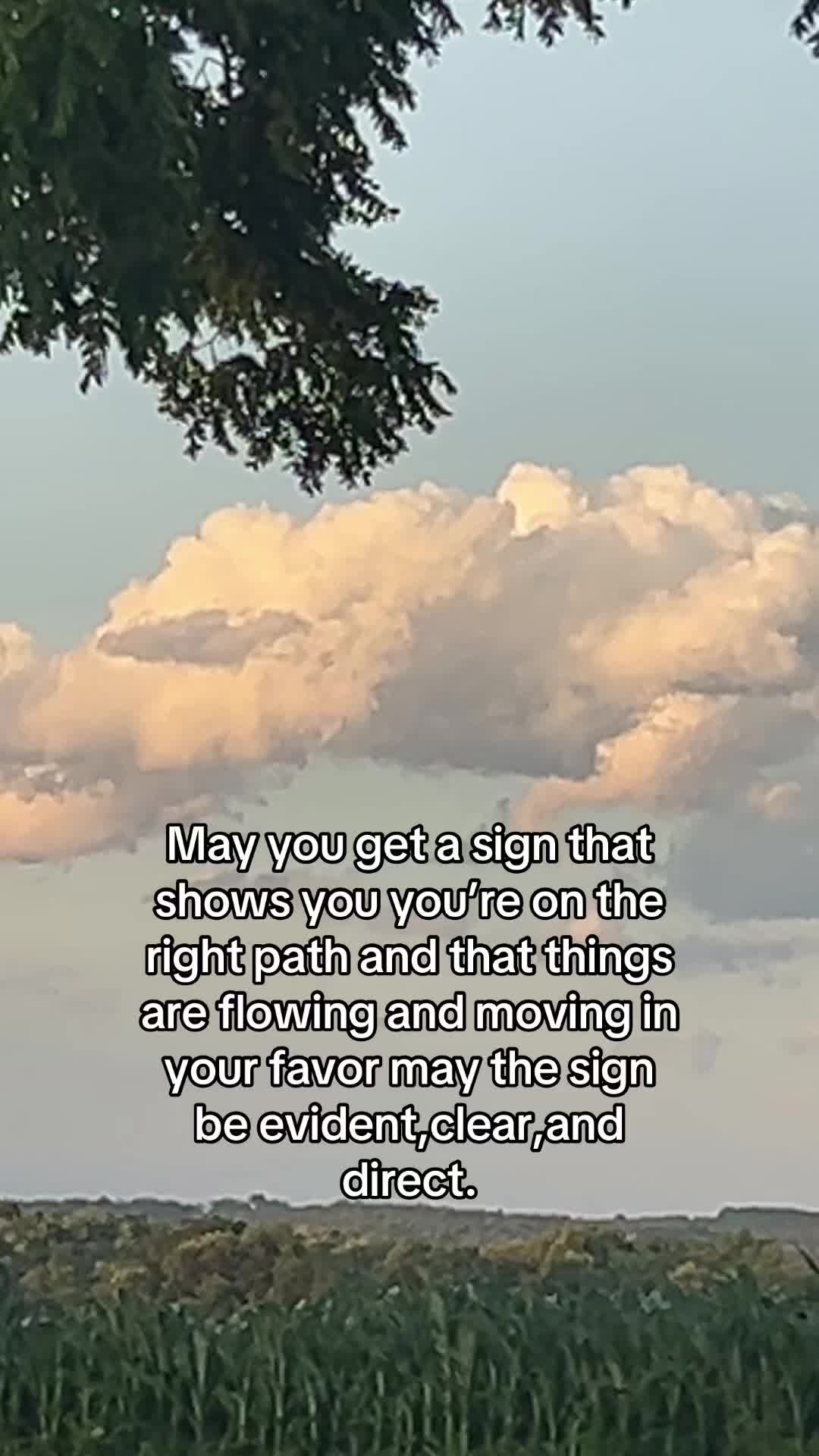 @Reese