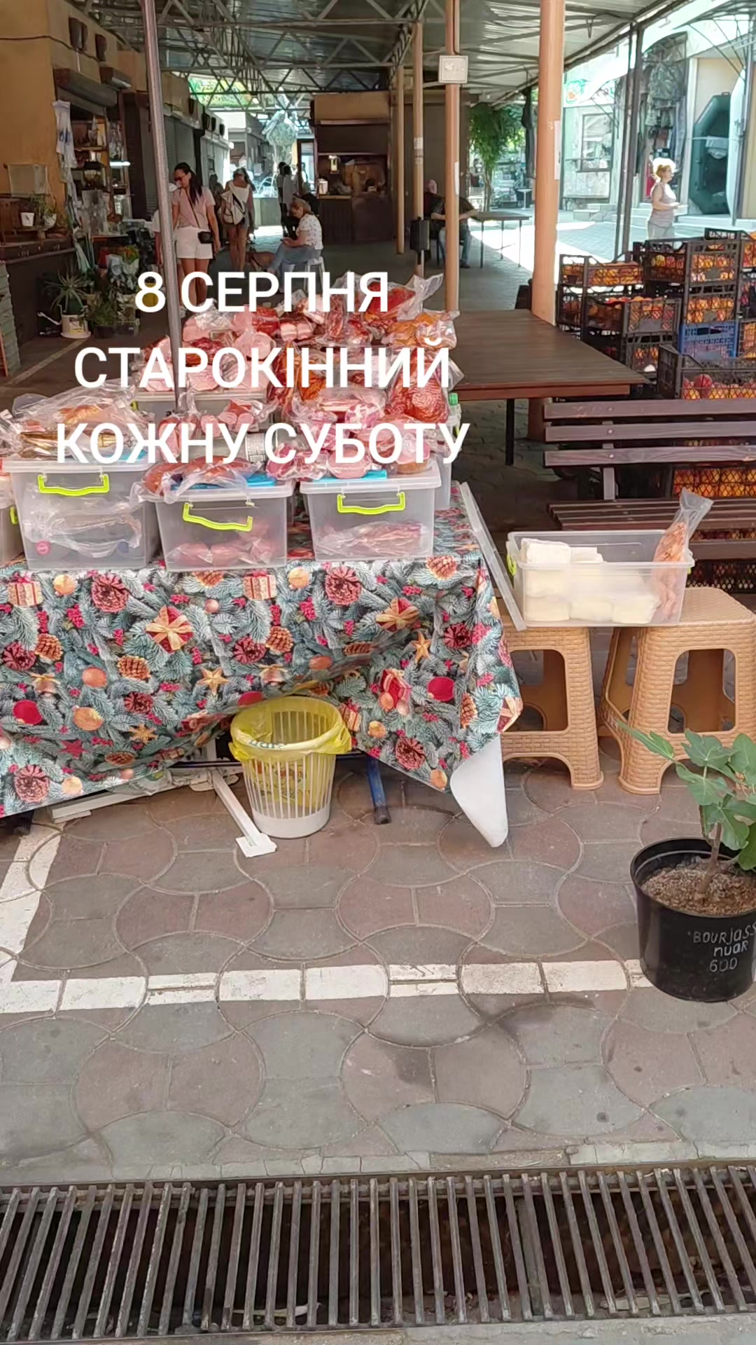 @ЗОЛОТА&ensp;РИБКА