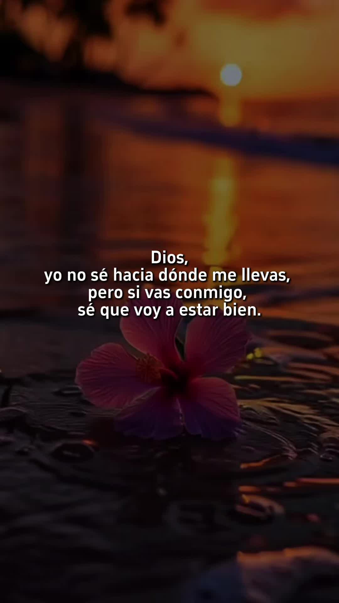 @Maribel 🌻
