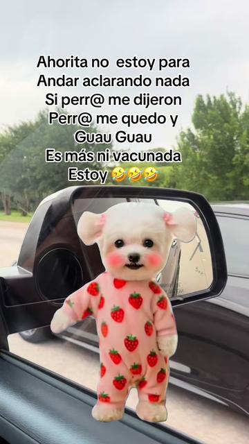 @Lesbi Mej&iacute;a
