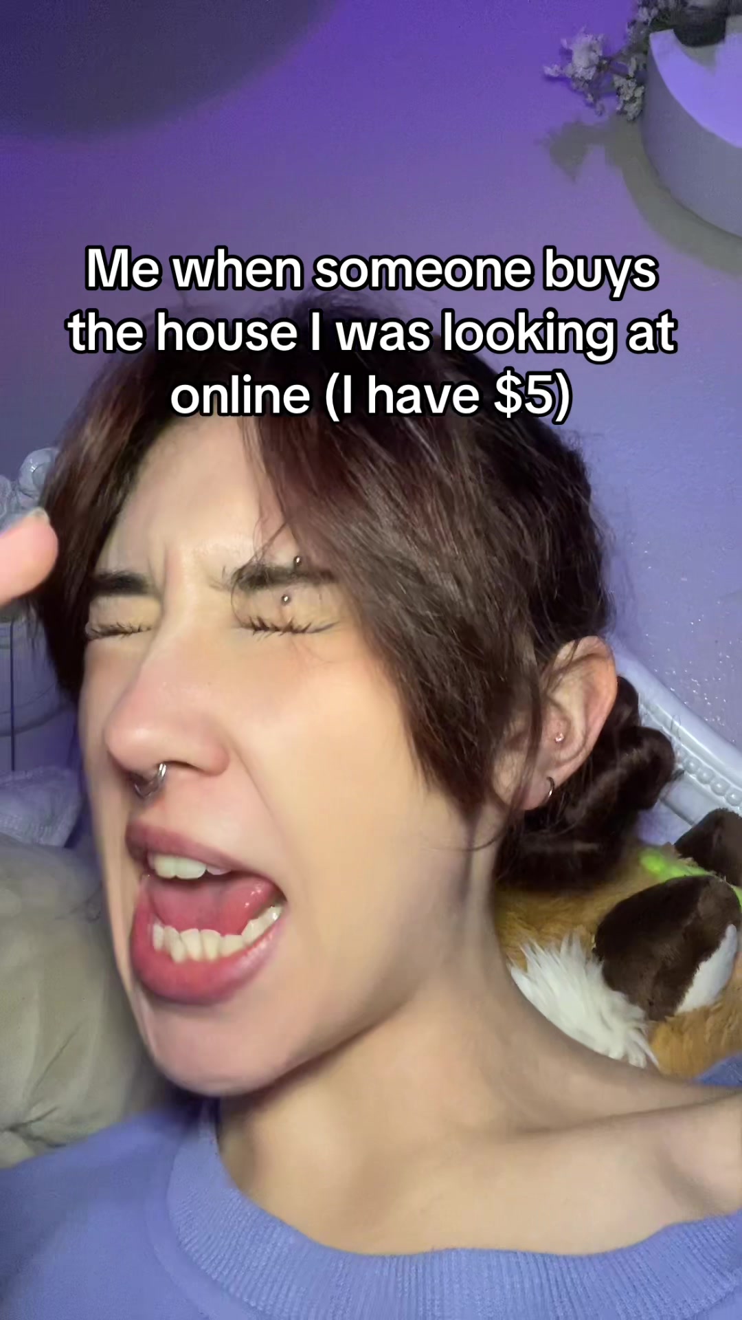 @josie.dawne