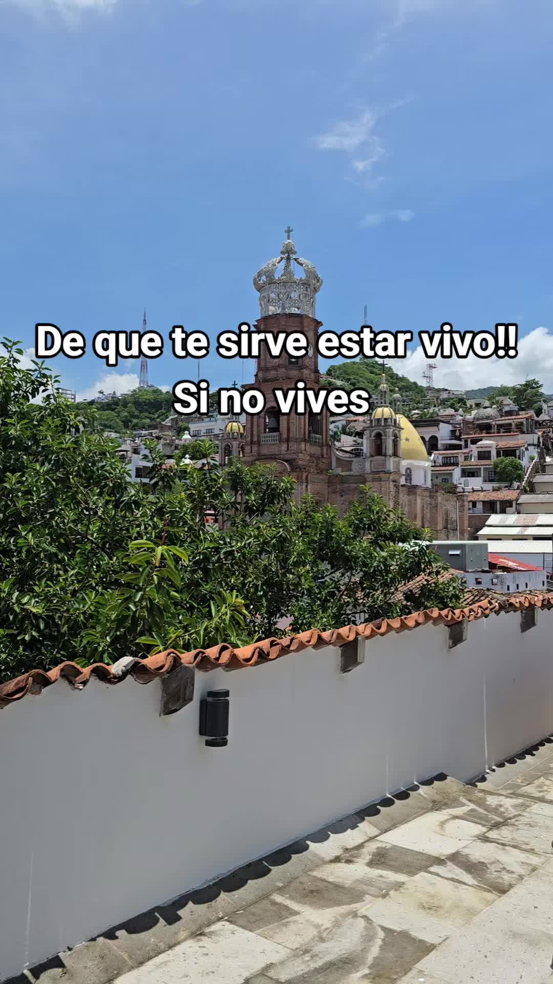 @Mooon