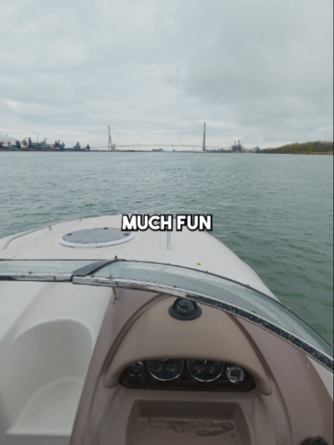 @Stef Fish