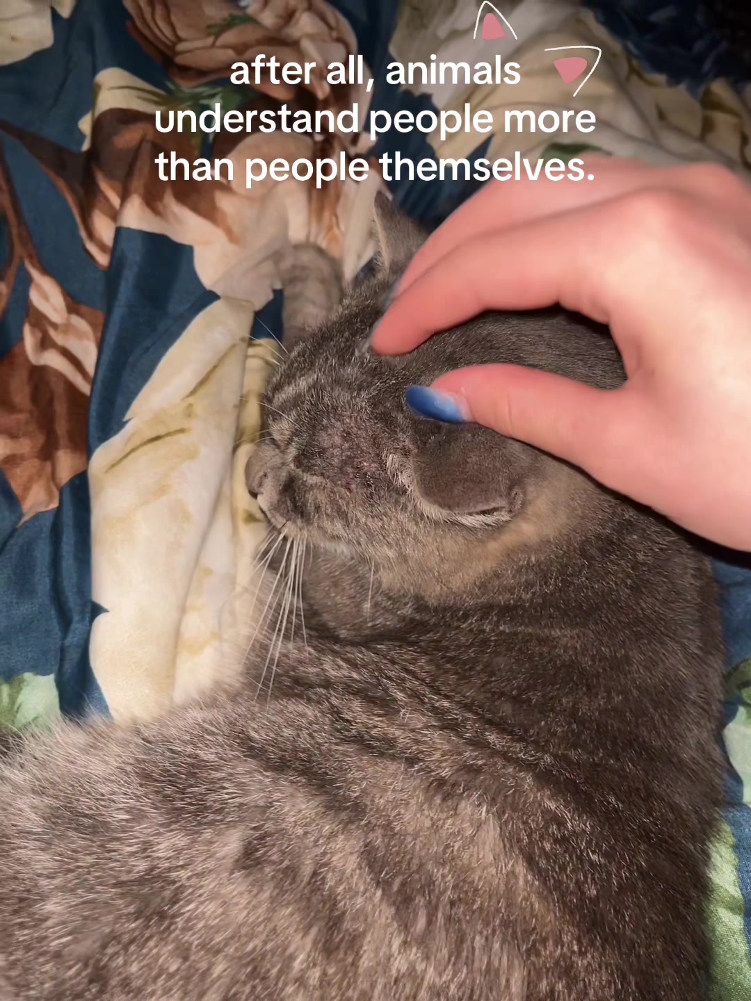 @тгк: 𝑆𝑙𝑎𝑑𝑘𝑖ℎ