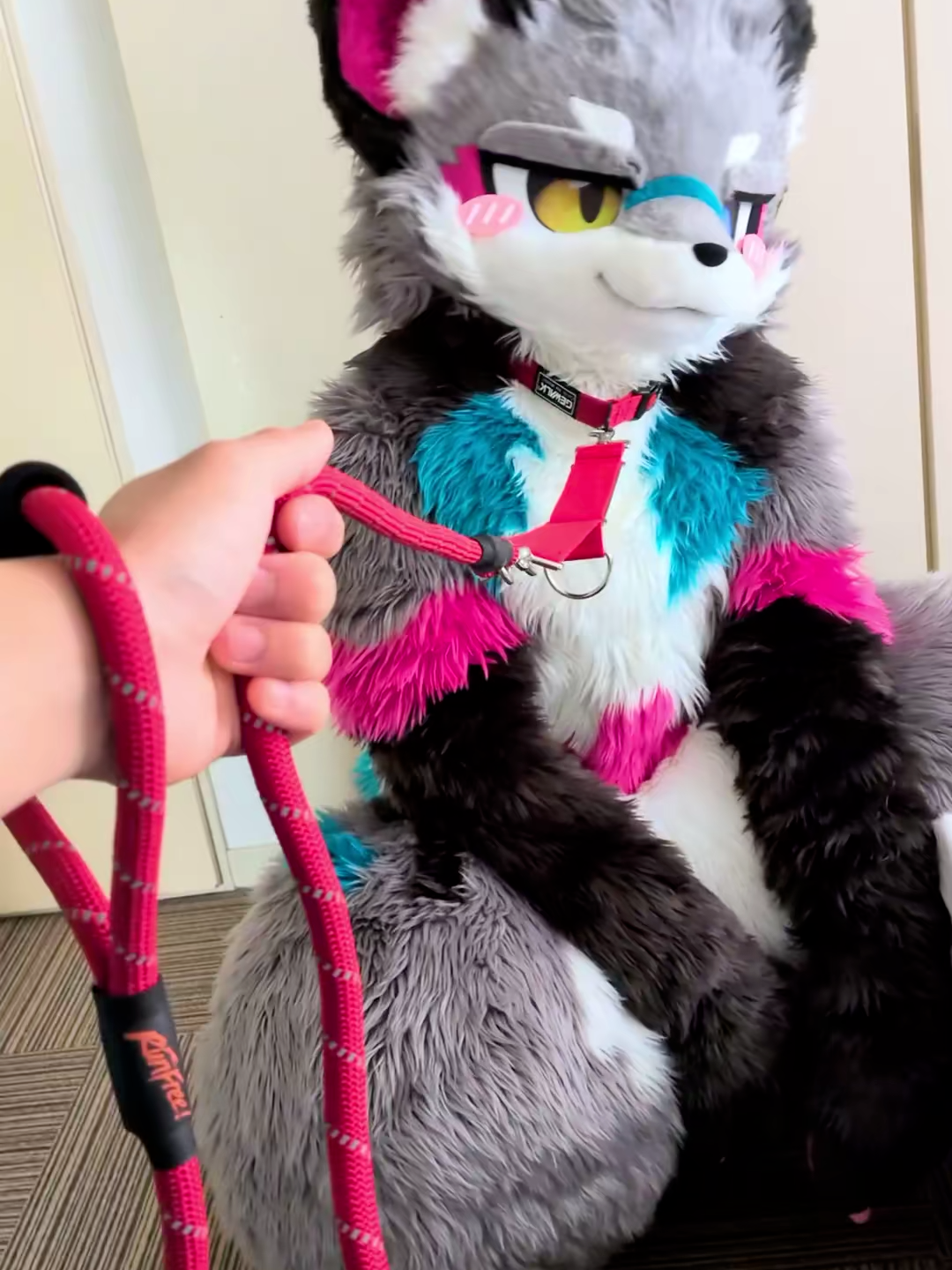 @radywolf