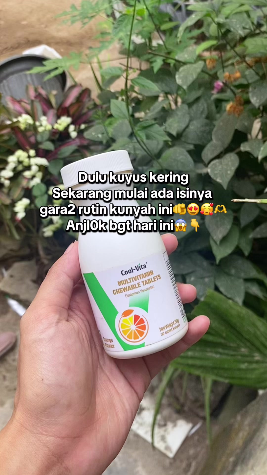 @fifi