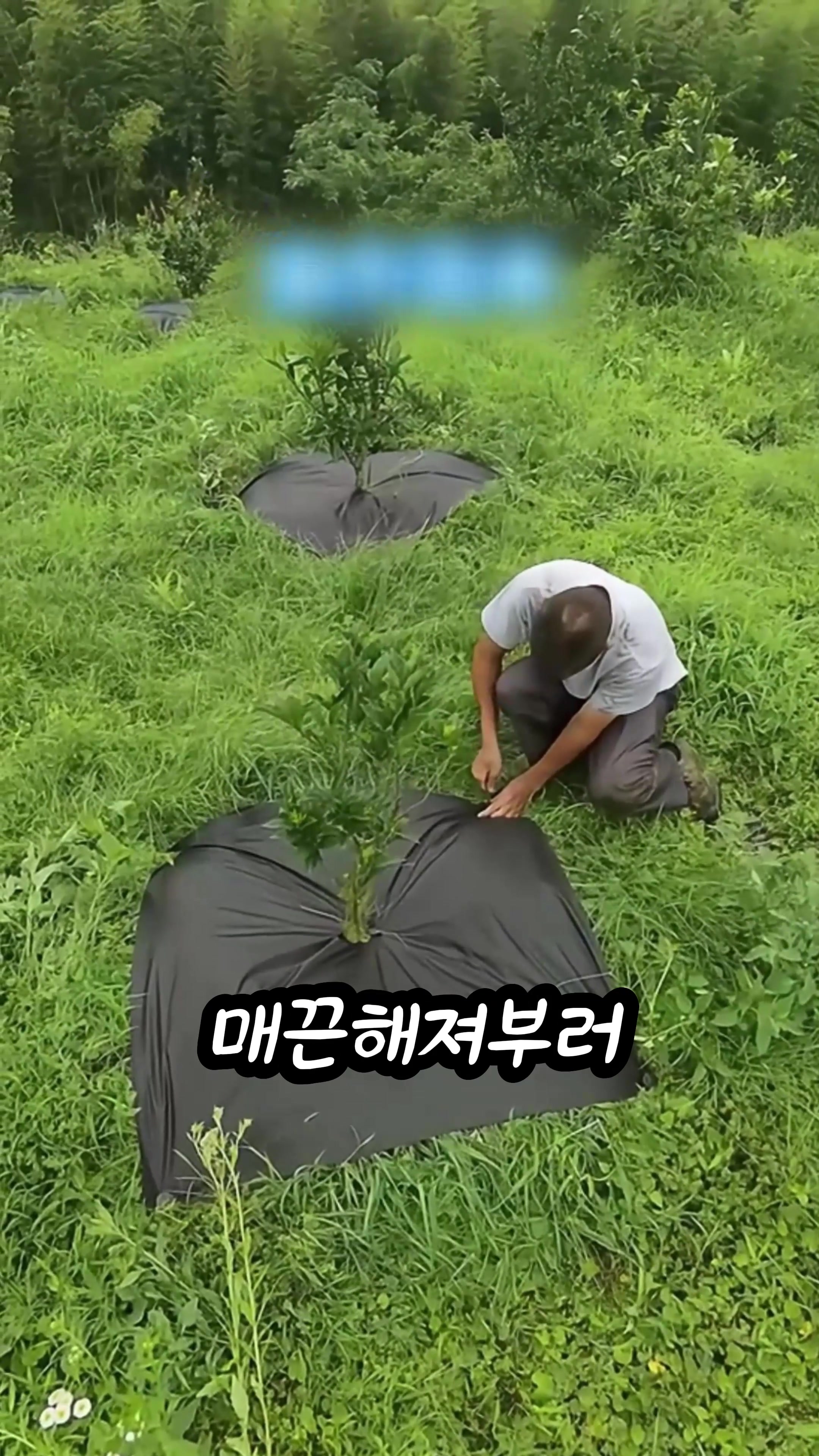 @부러쇼핑