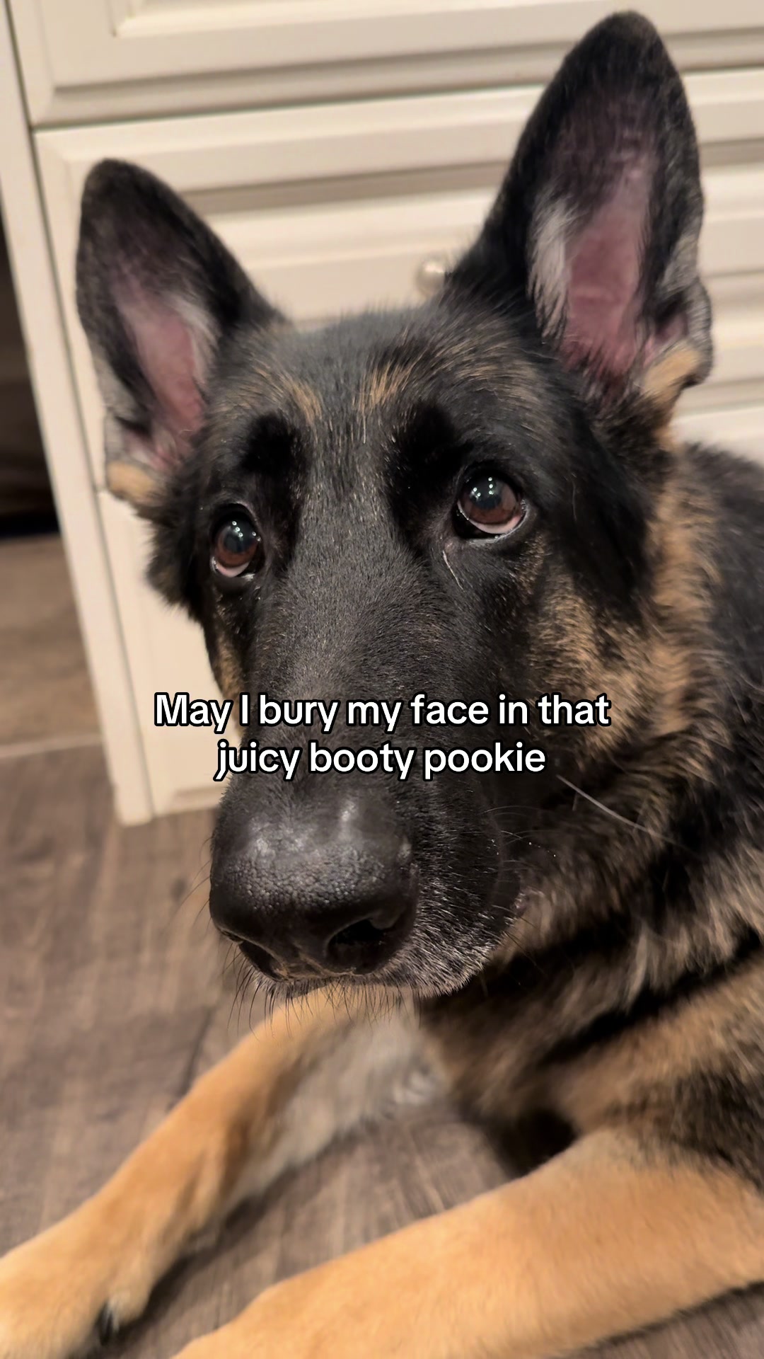 @Bhris