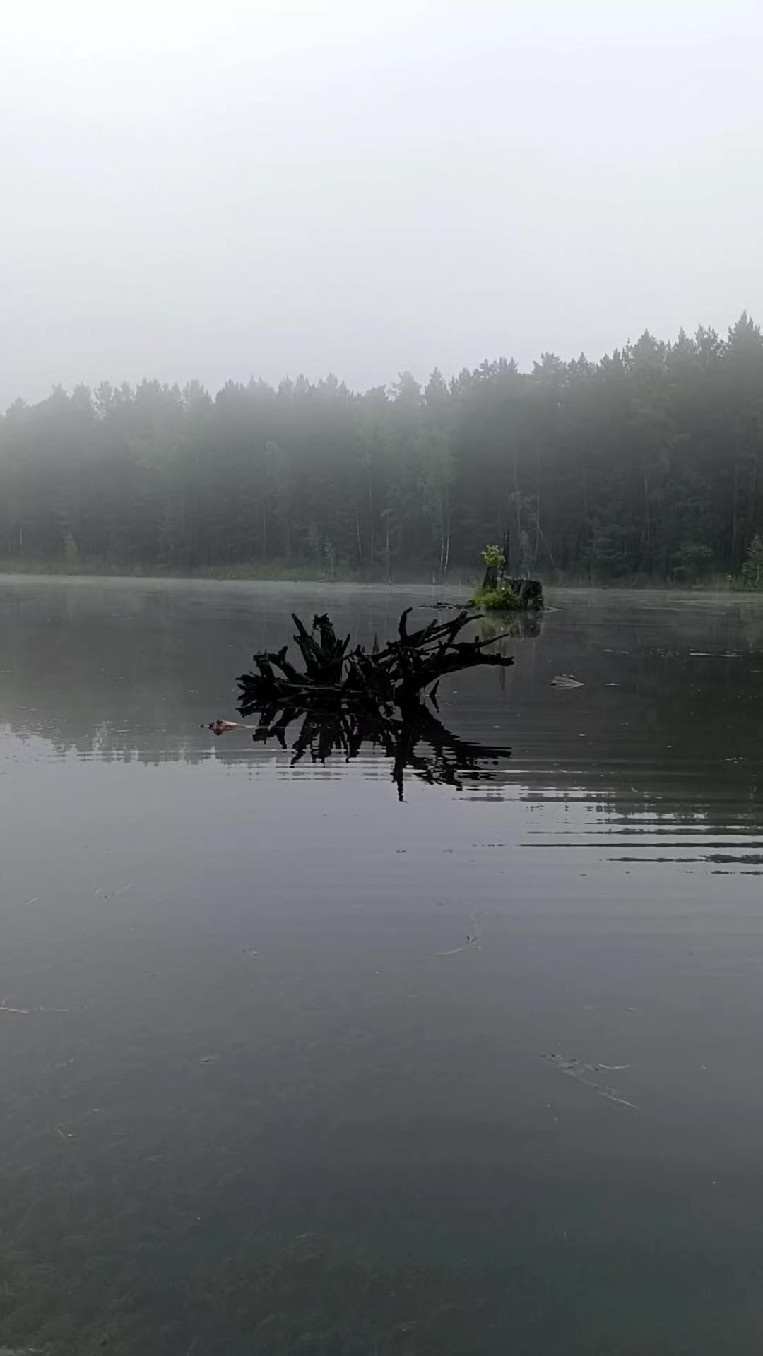 @Элодея