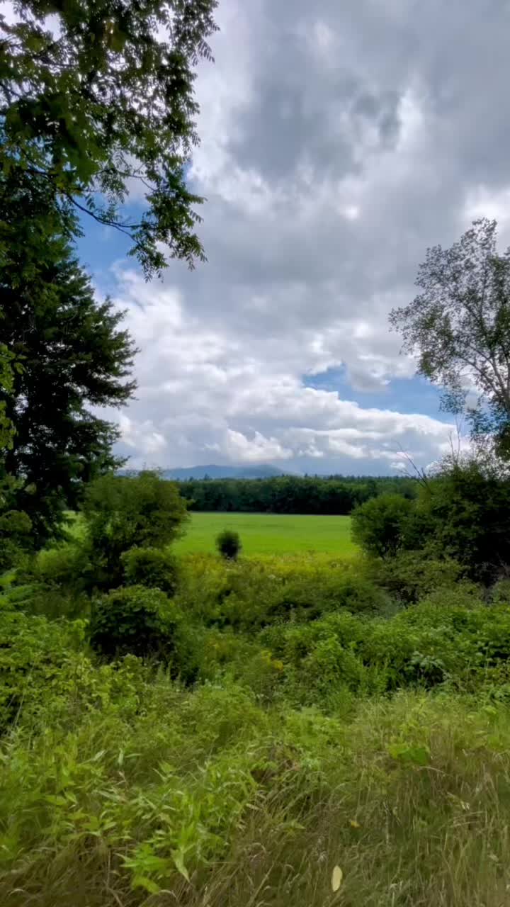 @Wild Adirondacks