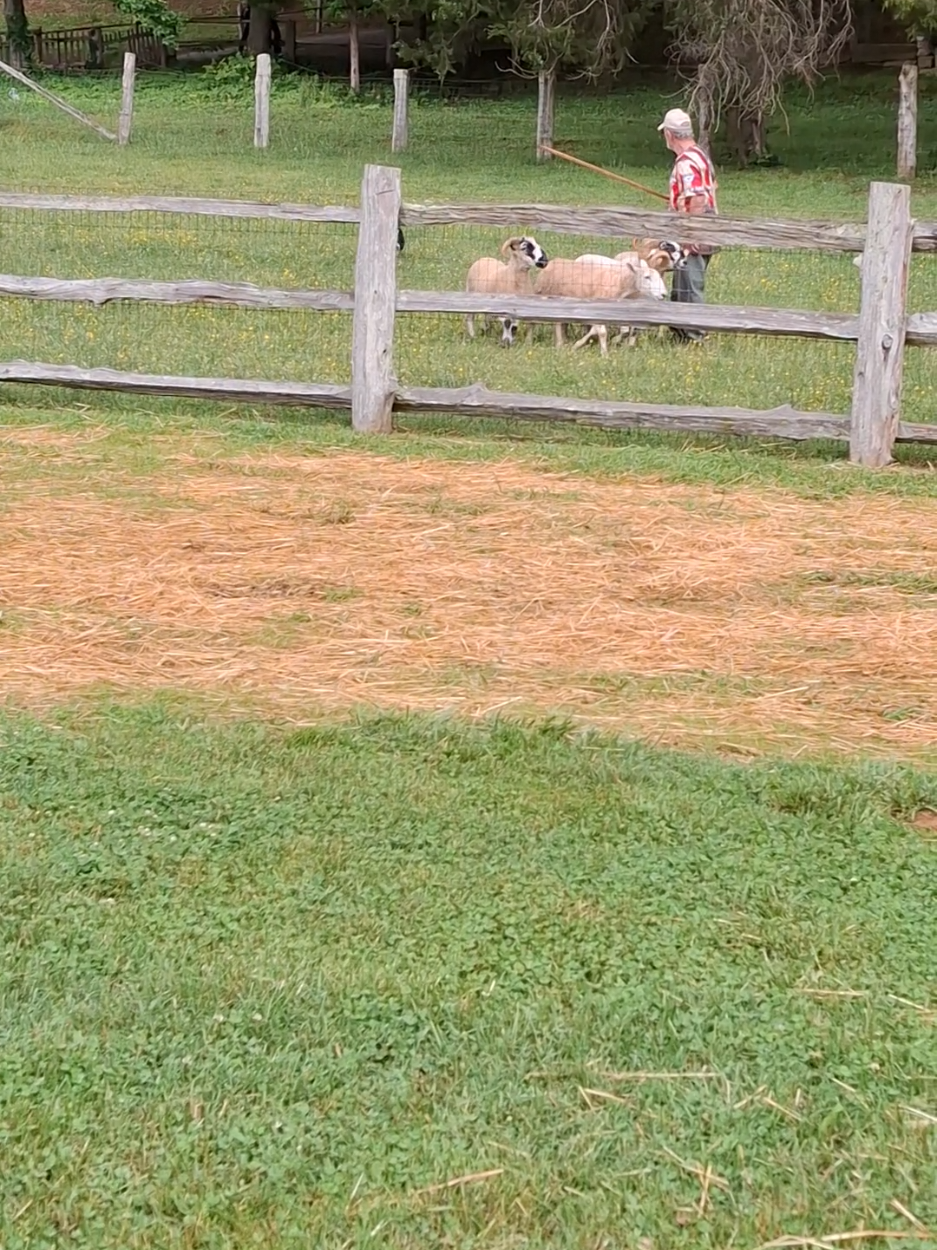 @CowsmackerTalks 🐒👩&zwj;🍳🐬