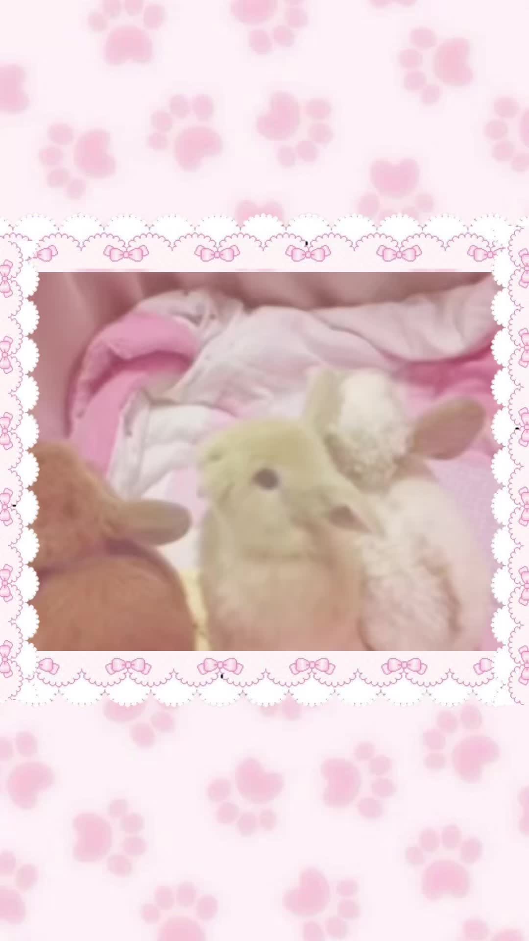 @️