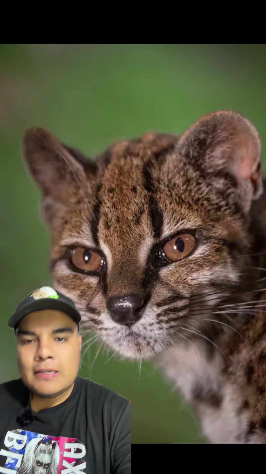 @Jair Herrera 🐆