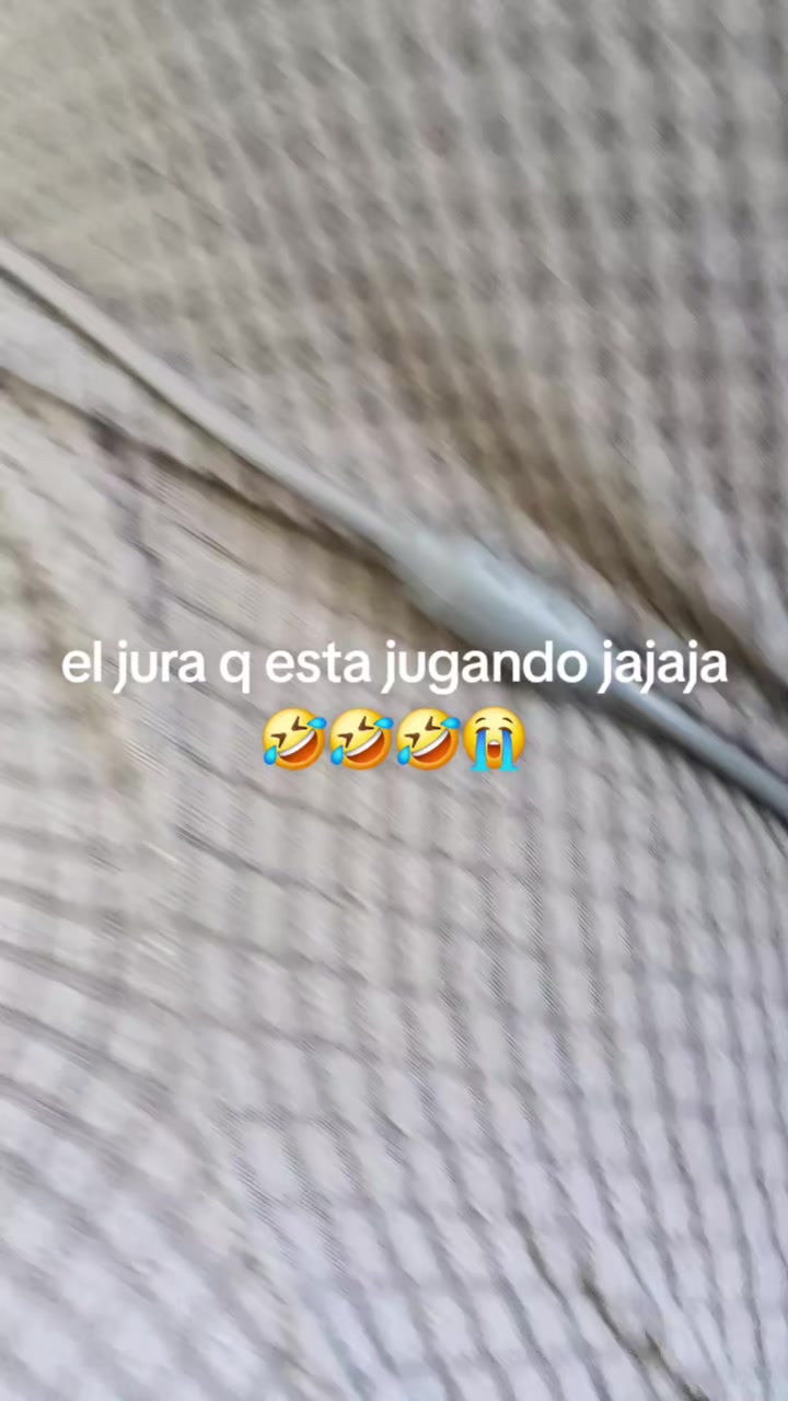 @⛈️𖥔 ݁˖ 𝑺ƴ𝘢𝓐  ( 🍵 𝓓𝓾𝓵 )