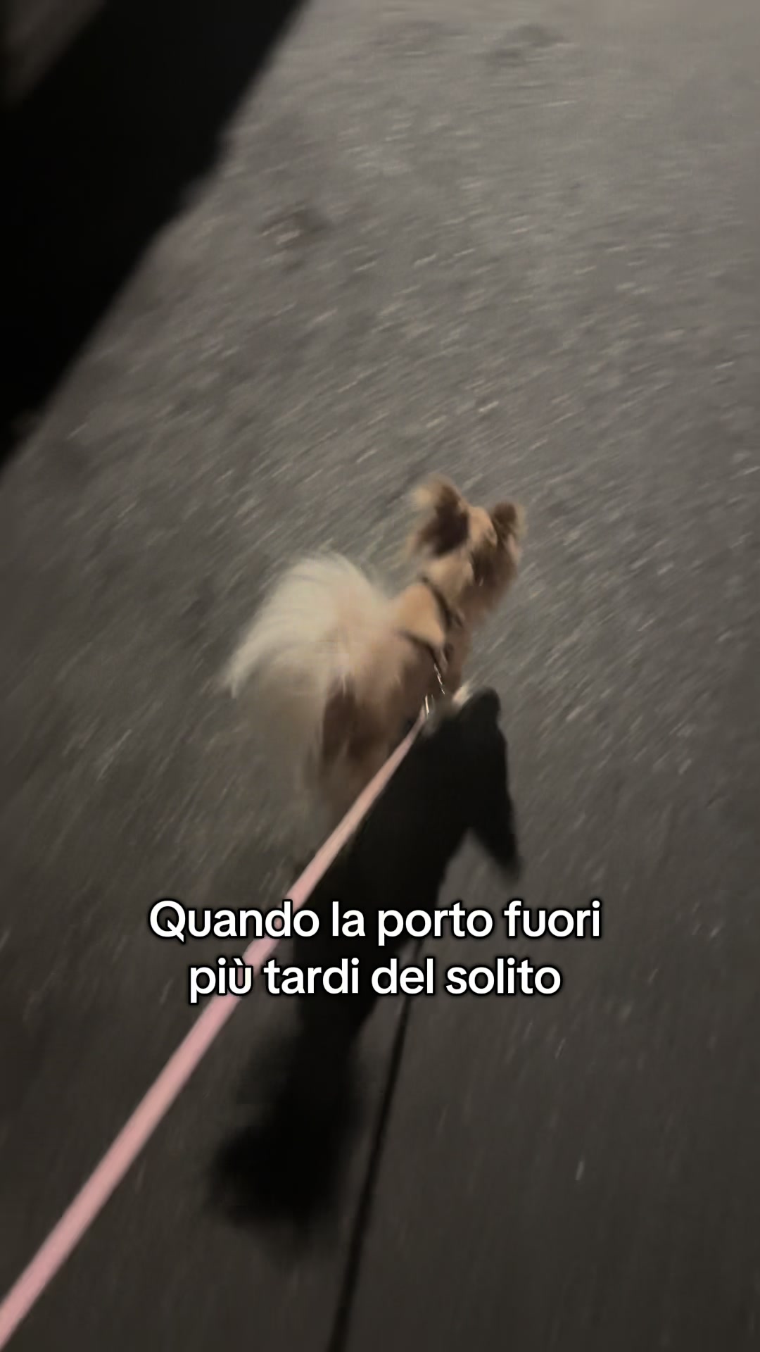 @Valentina Grispo