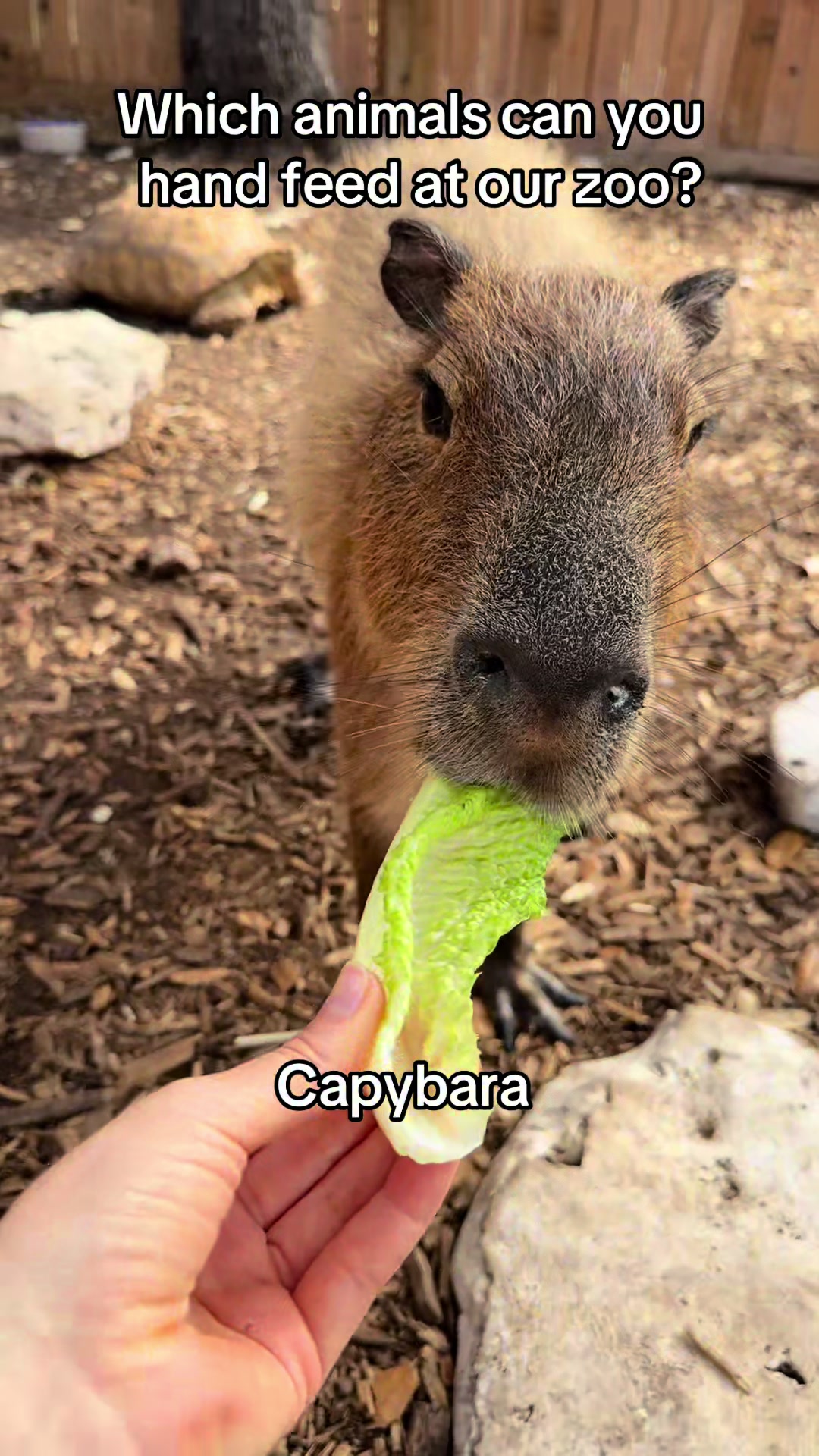 @Texas Wildlife Park