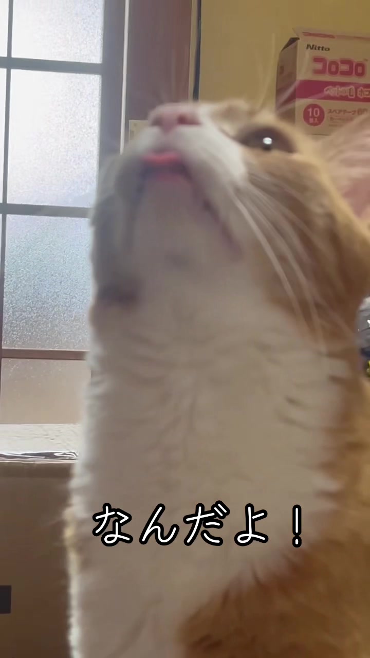 @−−−N.A.S −−−