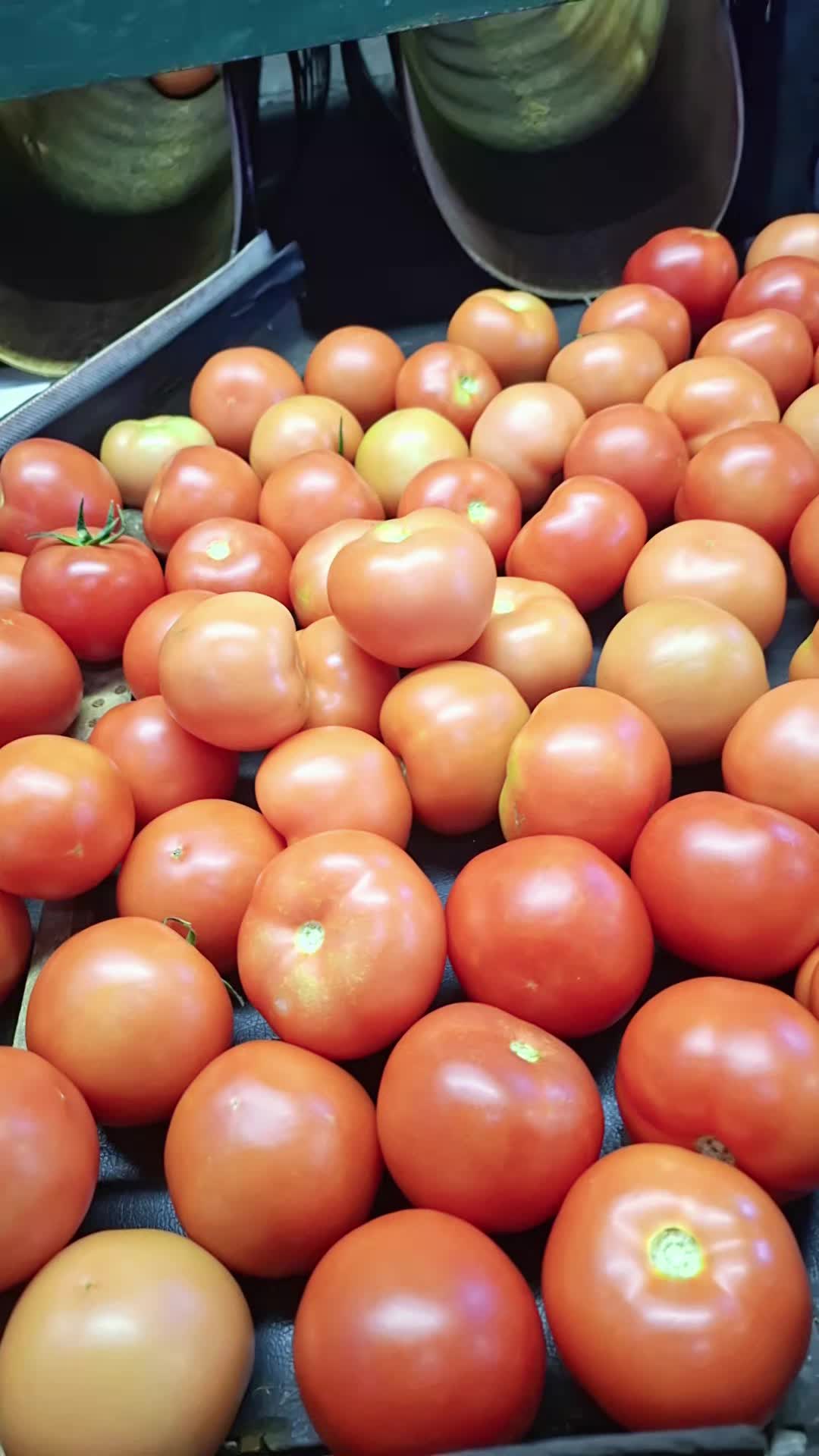 @🍅🚜L’agriculteur🚜🍅