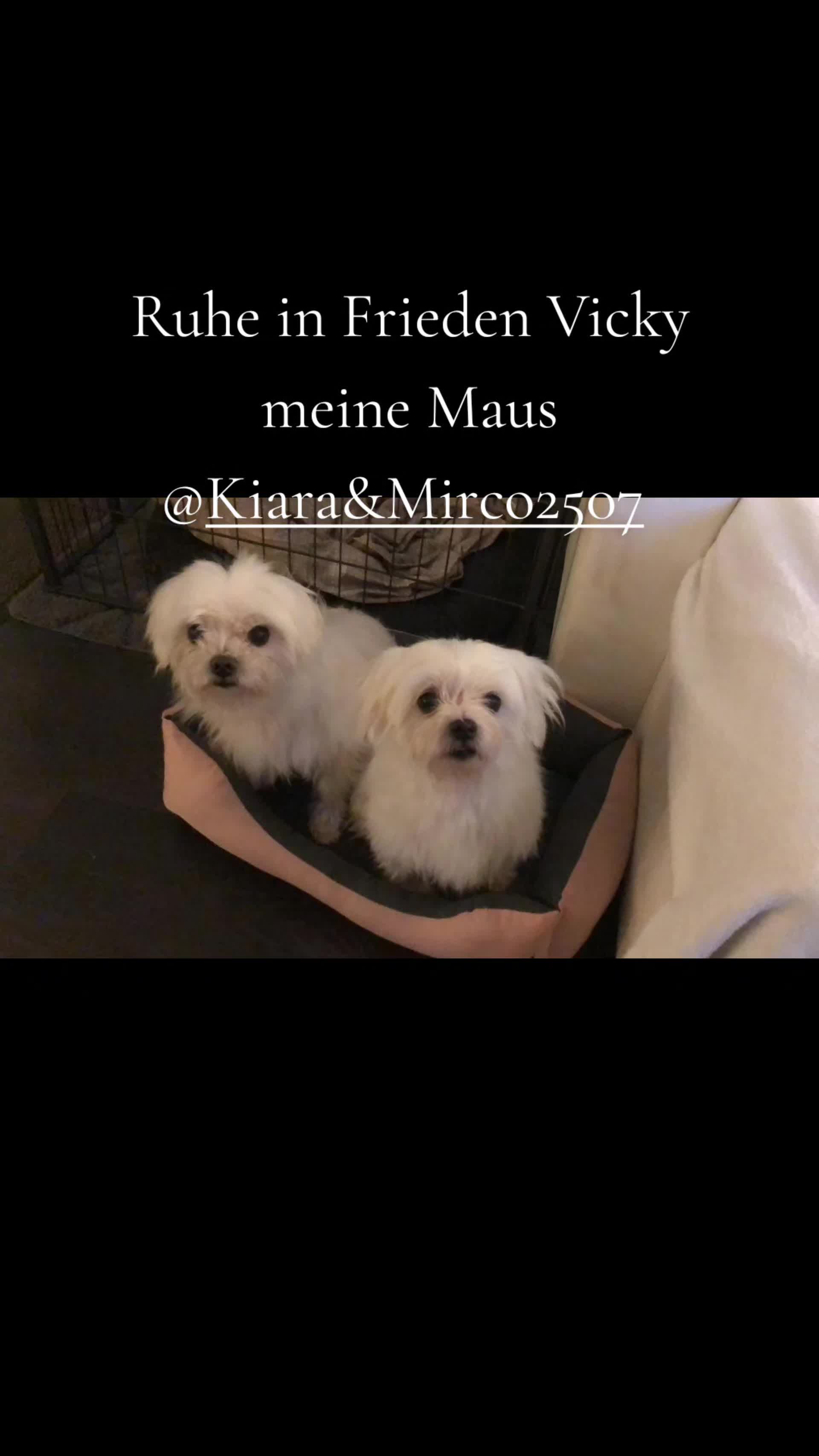@Mirco&Kiara2507