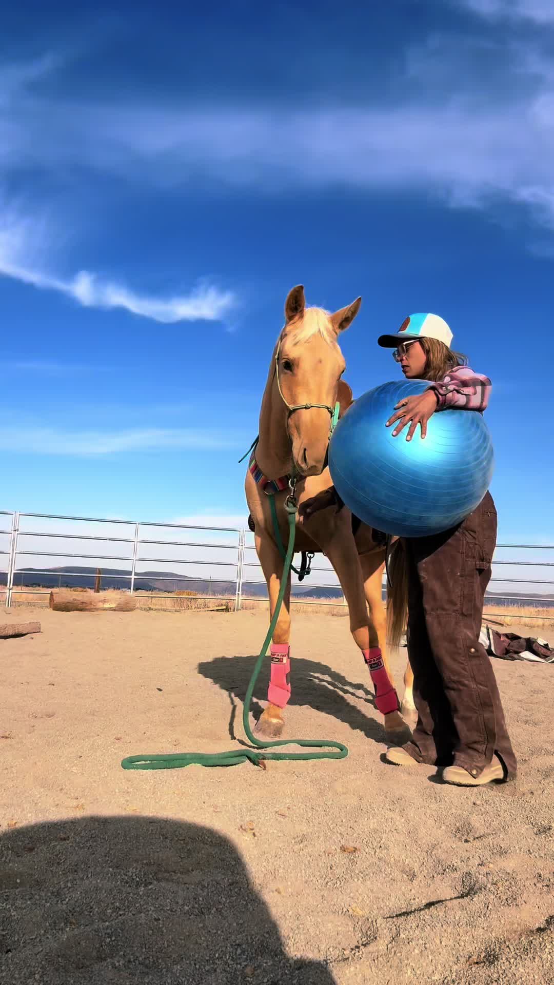 @Cowgirl Tuff Colt Training ❤️