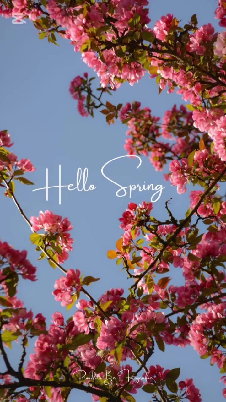 @Aphiwe🌻