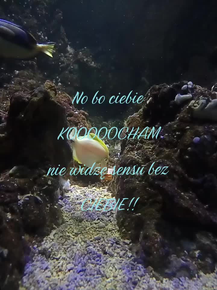 @🎰