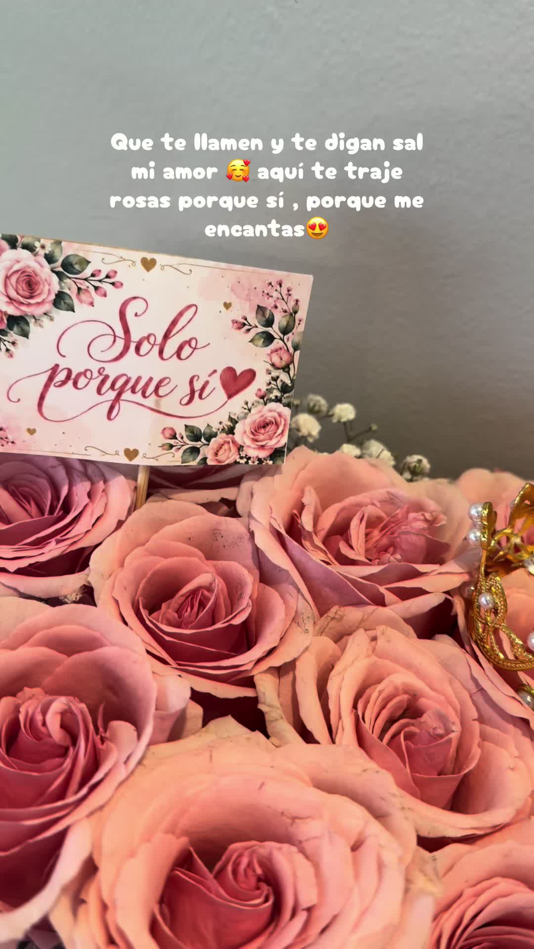 @Maria Frontado