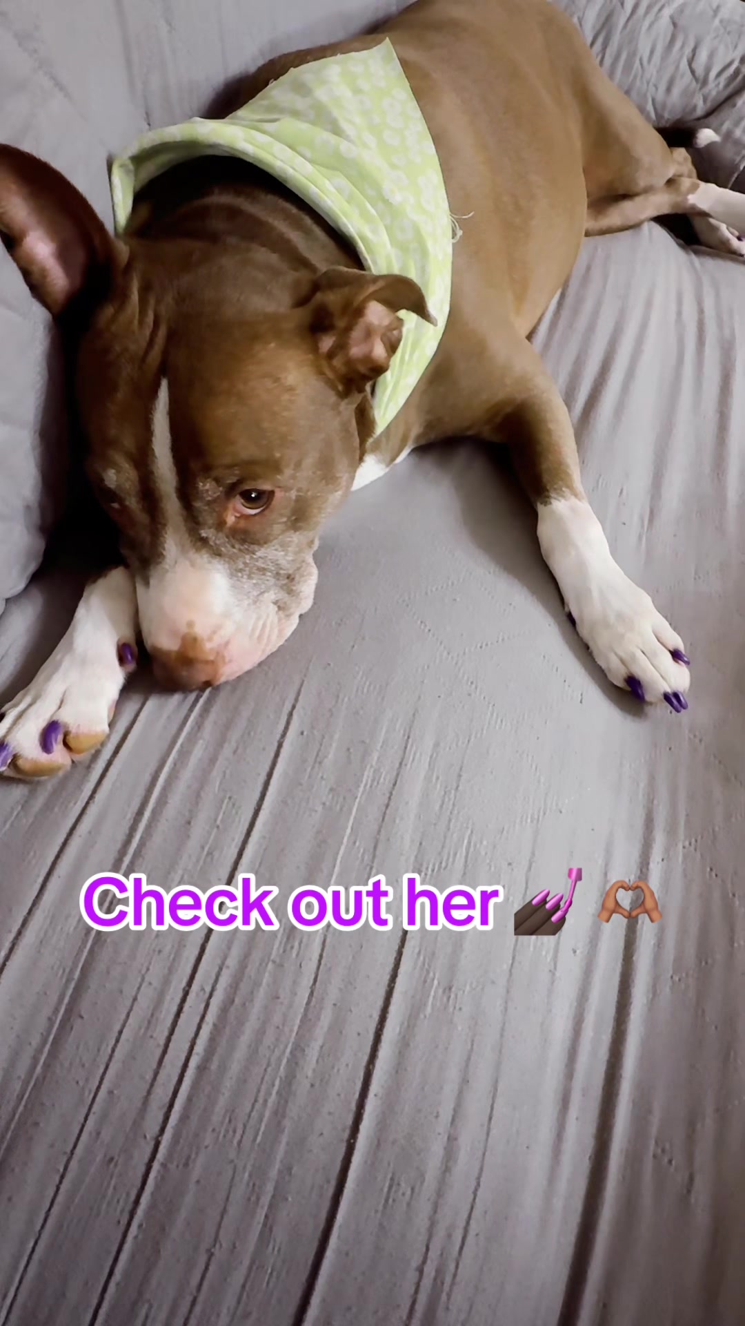 @dem fur kids mum