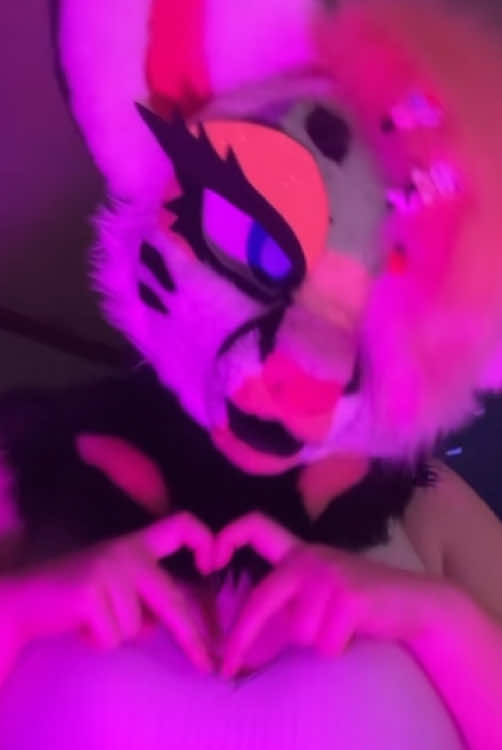 @Liger~Liger🐾🍉