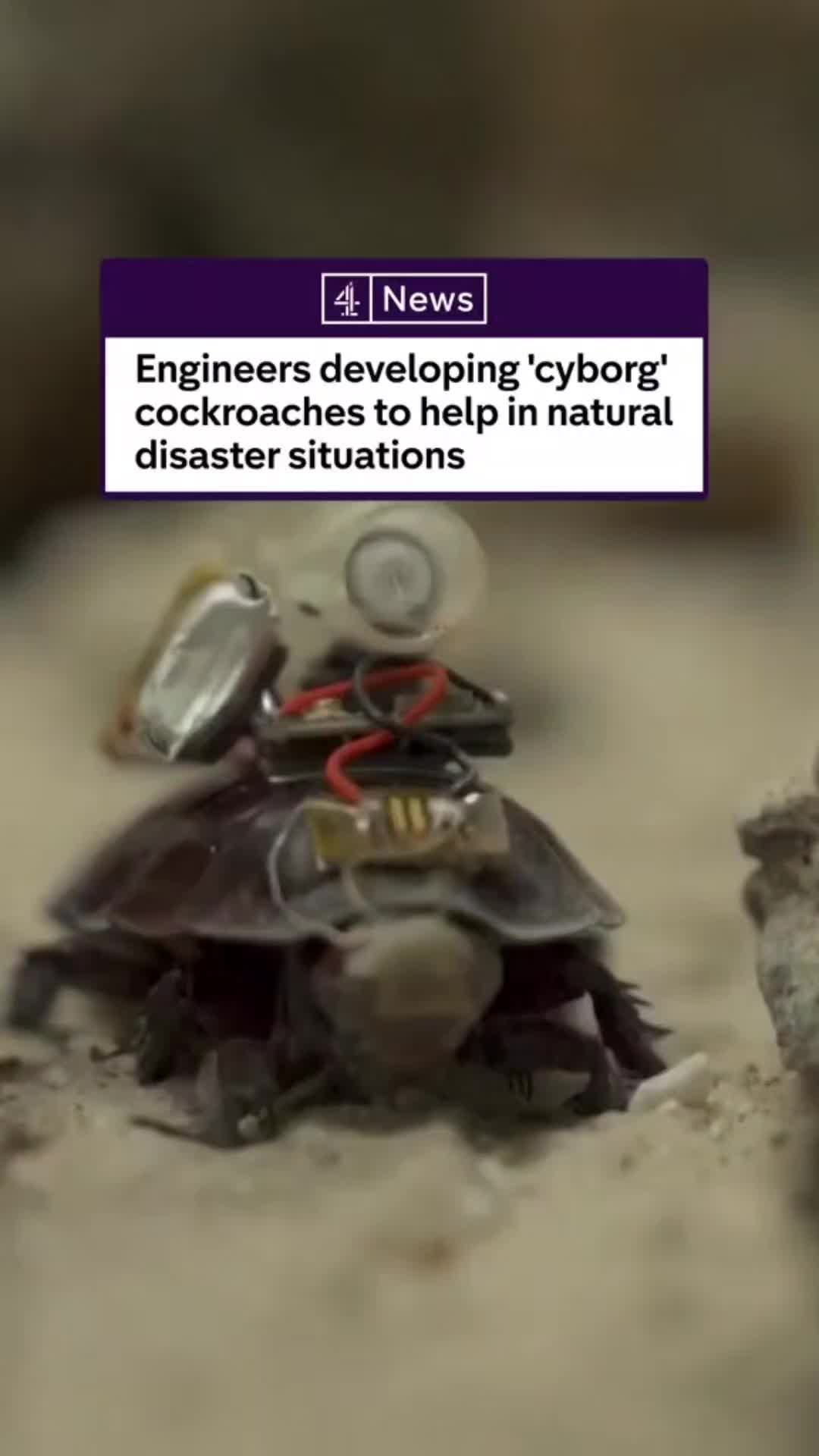@Bigonuggets