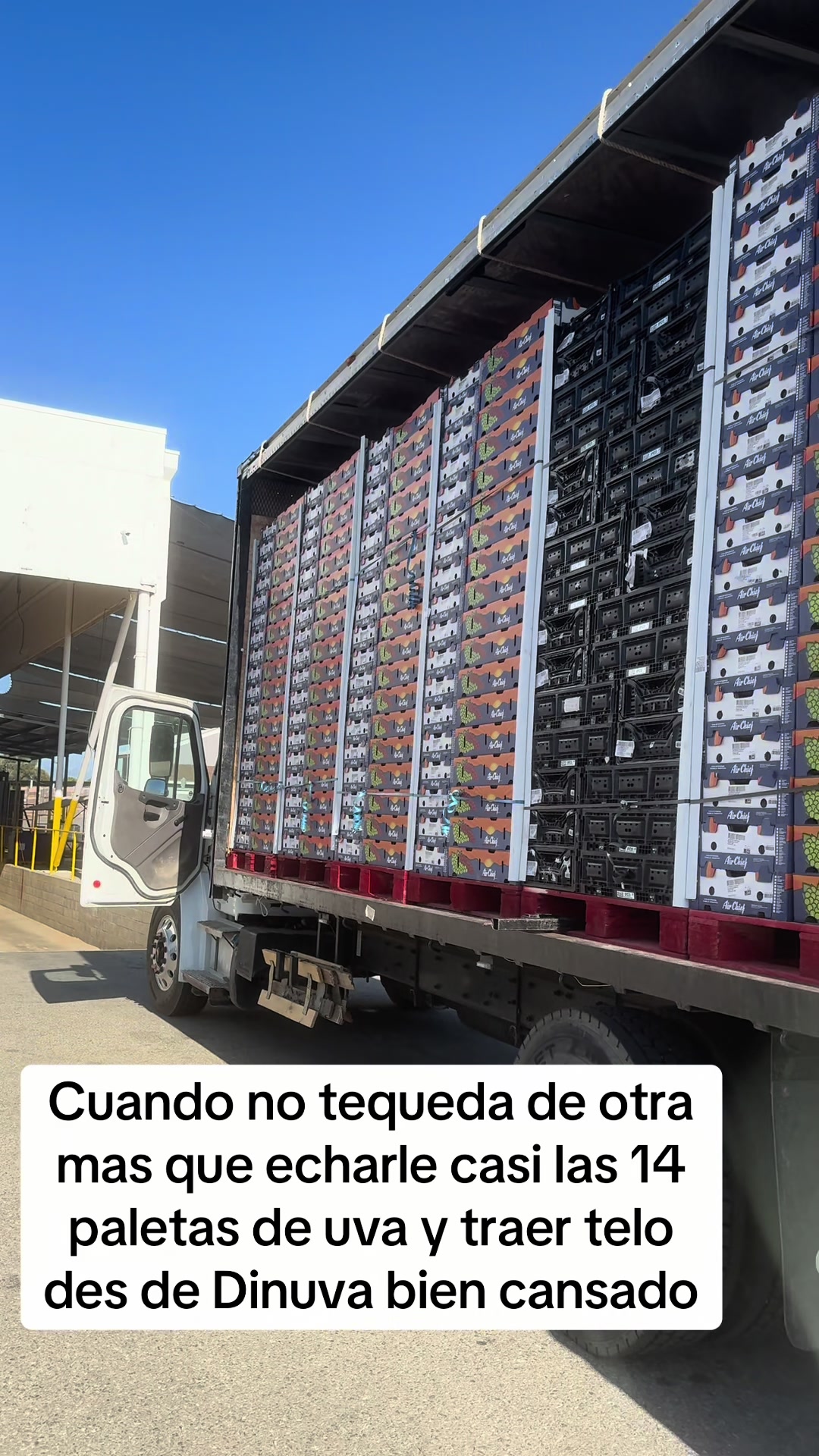 @Corita.s550