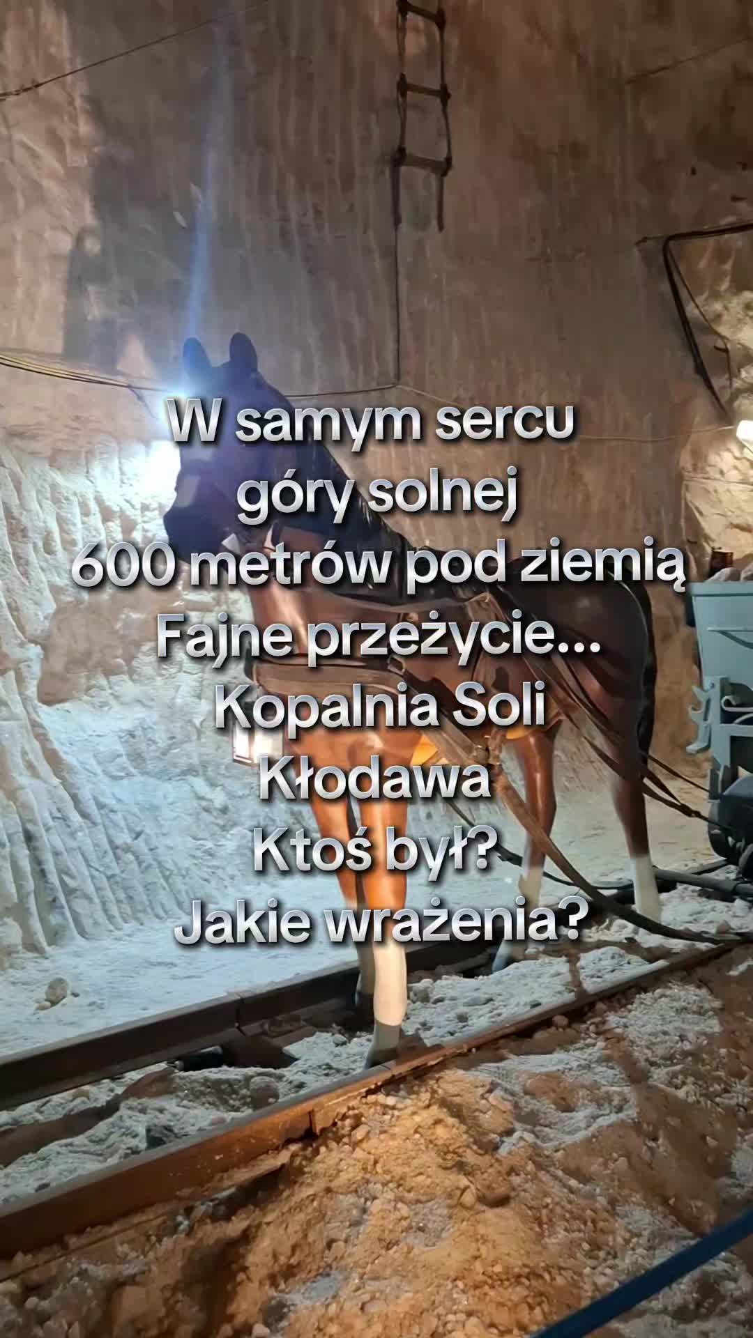 @𝓐𝓵𝓲𝓷𝓪💕