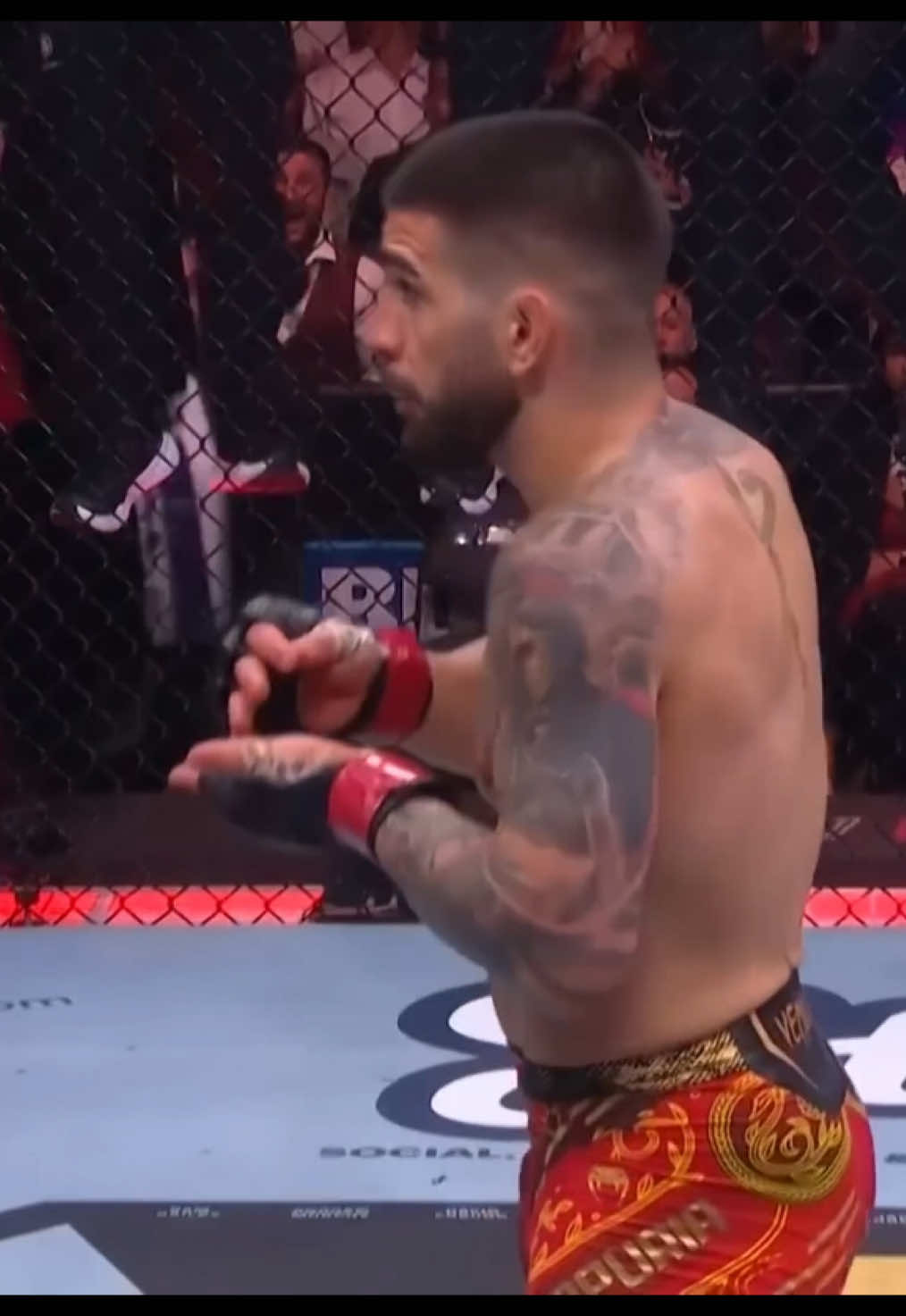 @eyub.mma