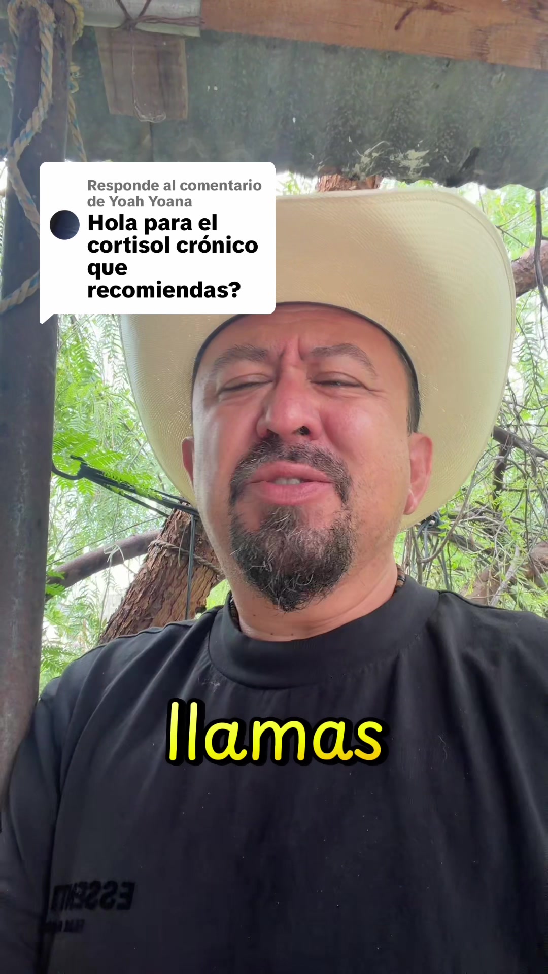 @ElHierbero