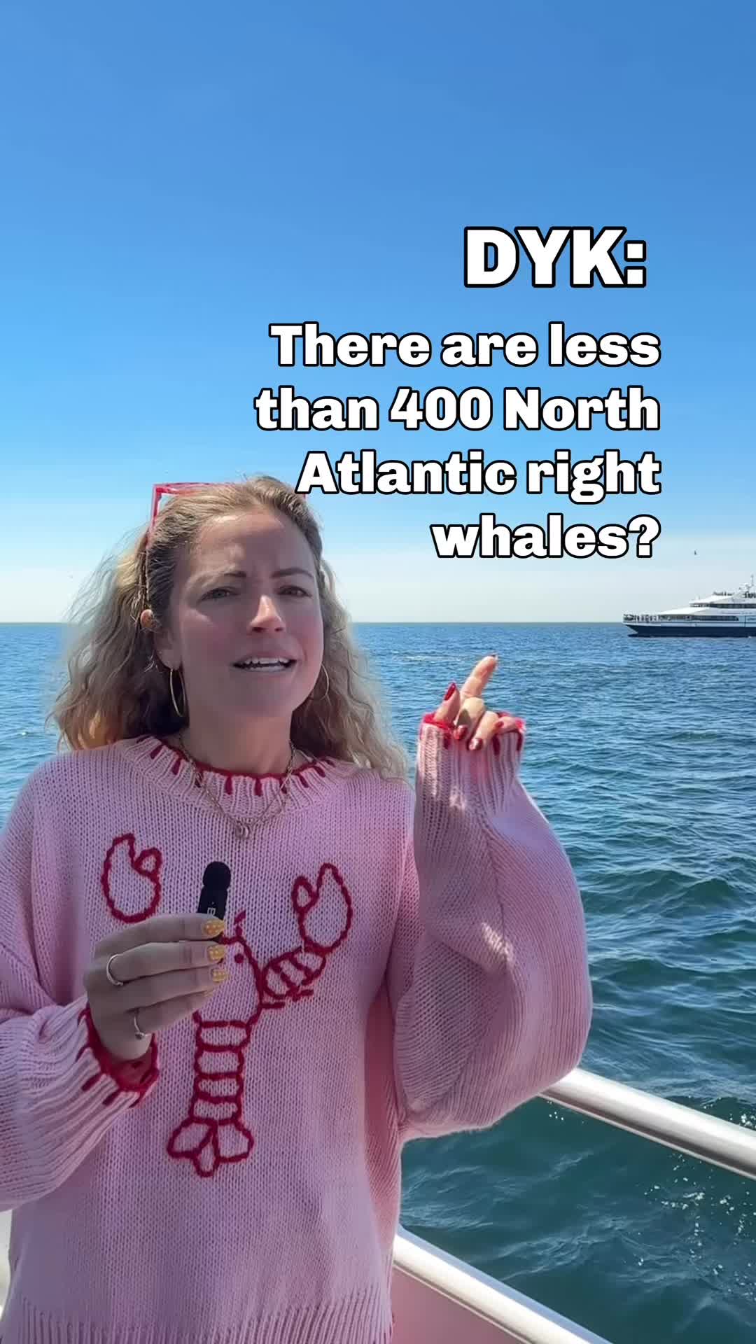 @alainapinto