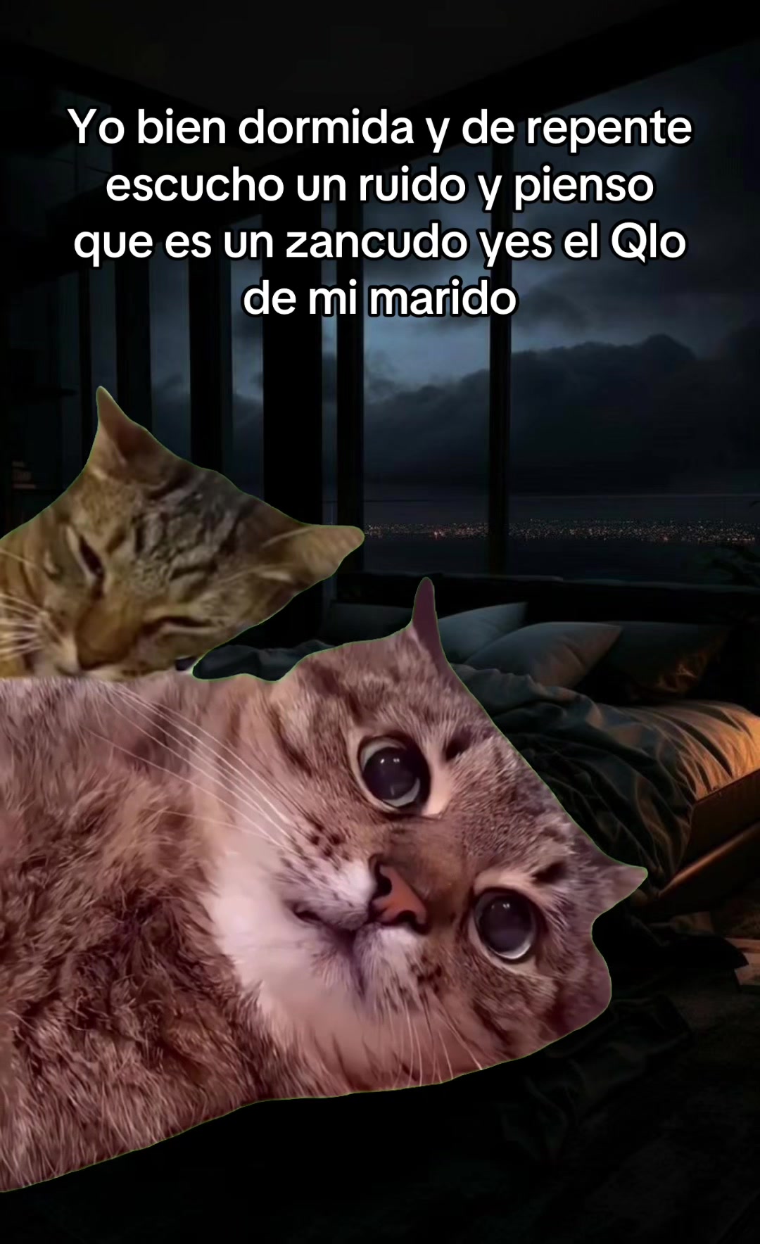 @Flakitta&Luis🫶🏻