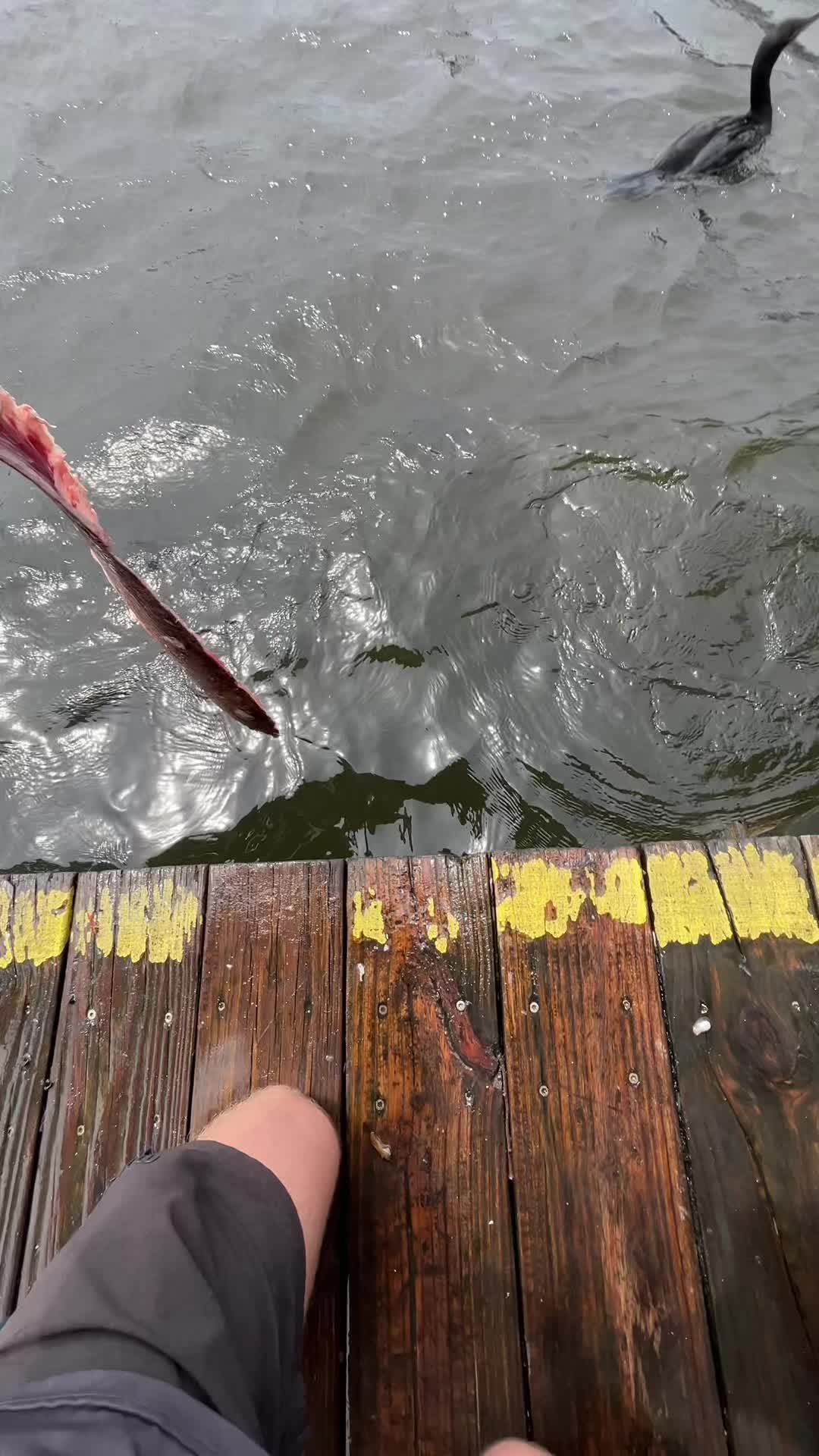 @The Fish Slayer