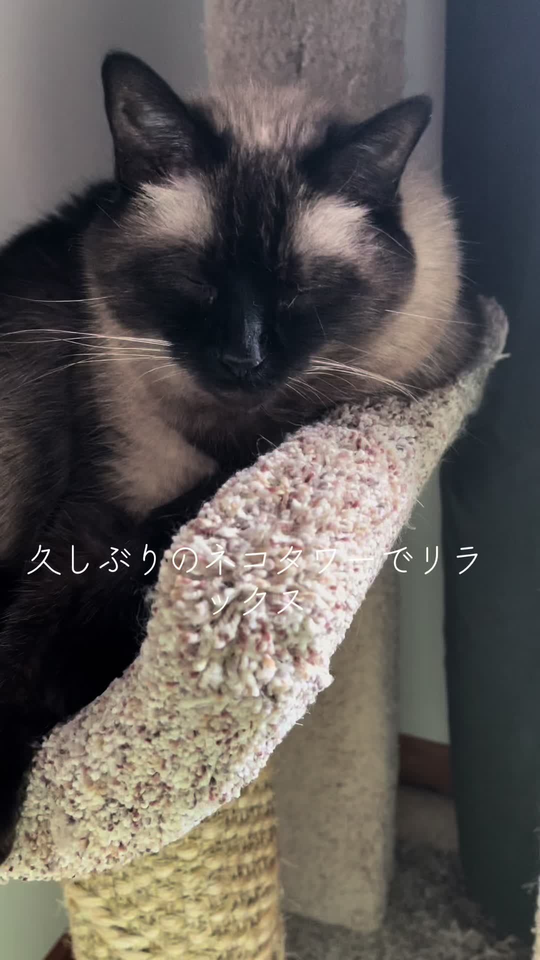 @sakurahana016