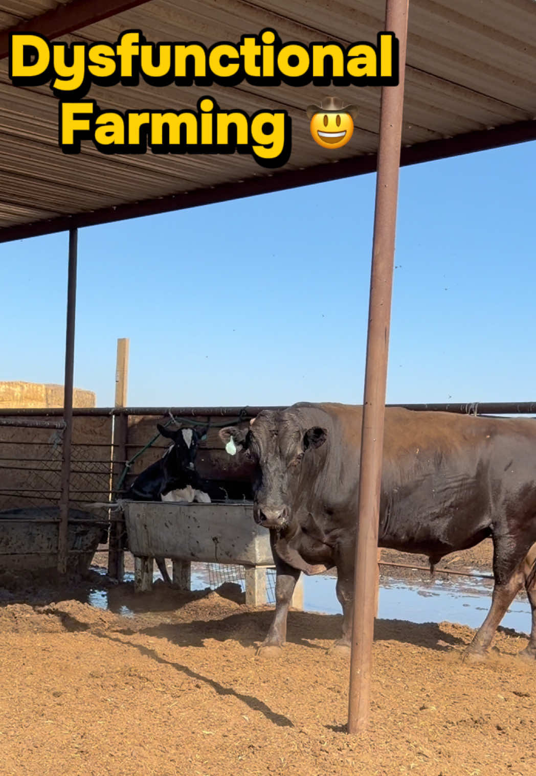@Skylar Farming