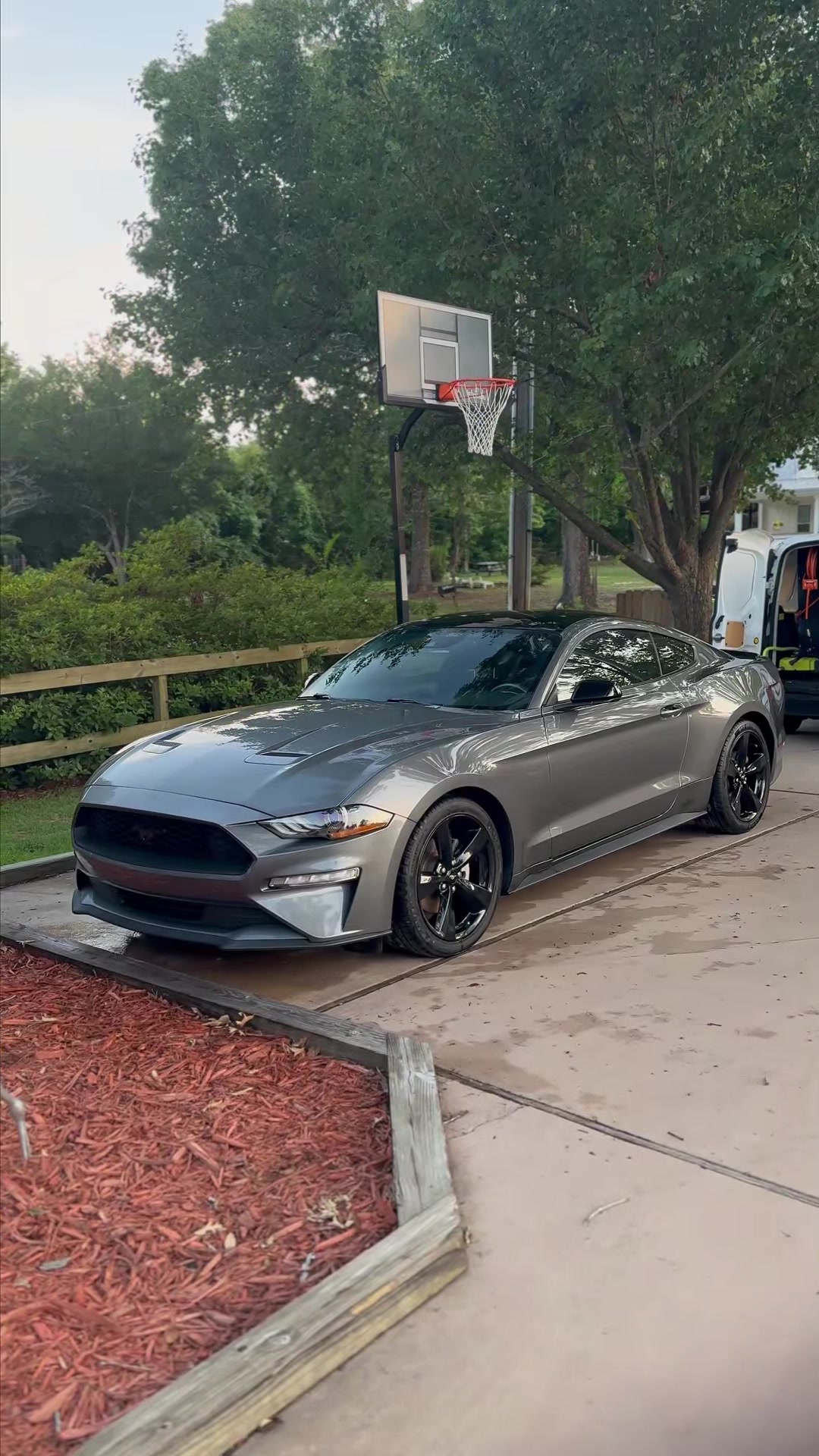 @Ciscoautodetailing