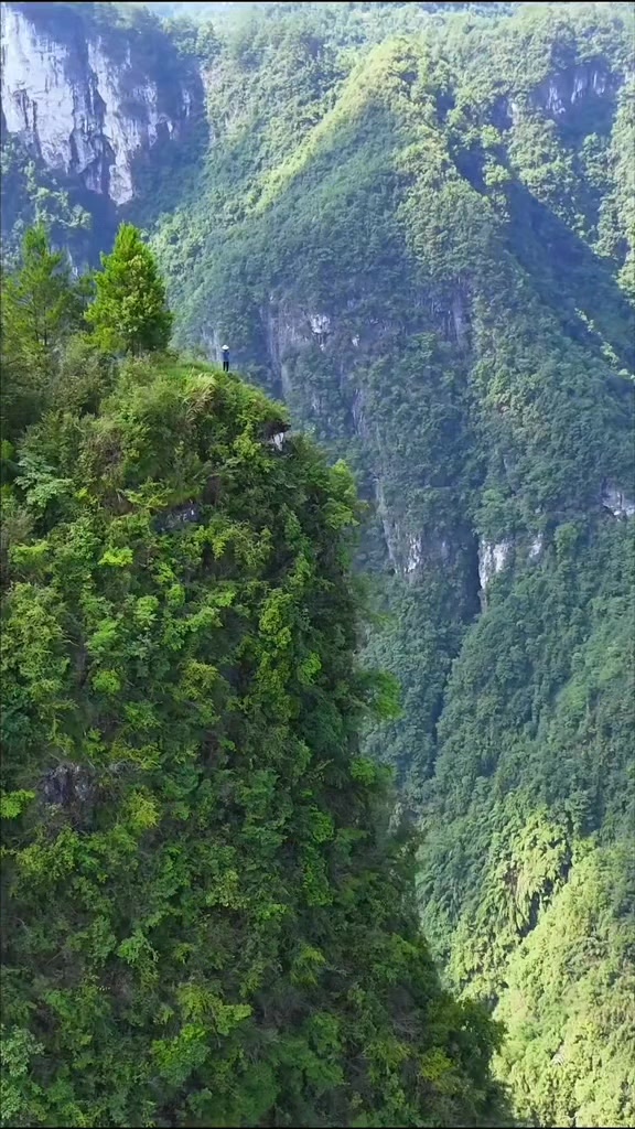 @Lê Đức Cương Bonsai